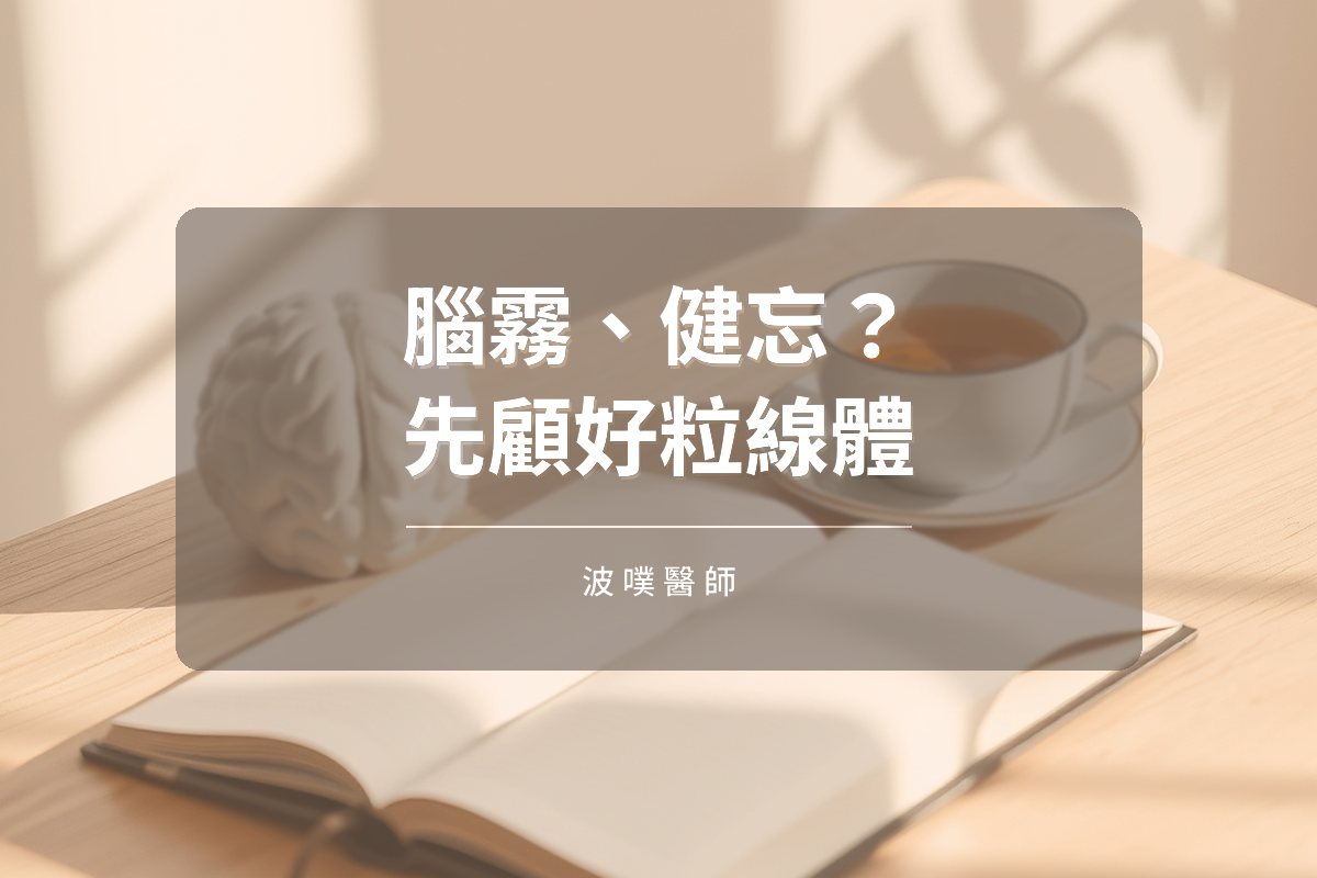 腦霧、失智與腦傷:從粒線體找回大腦的能量(文章封面)