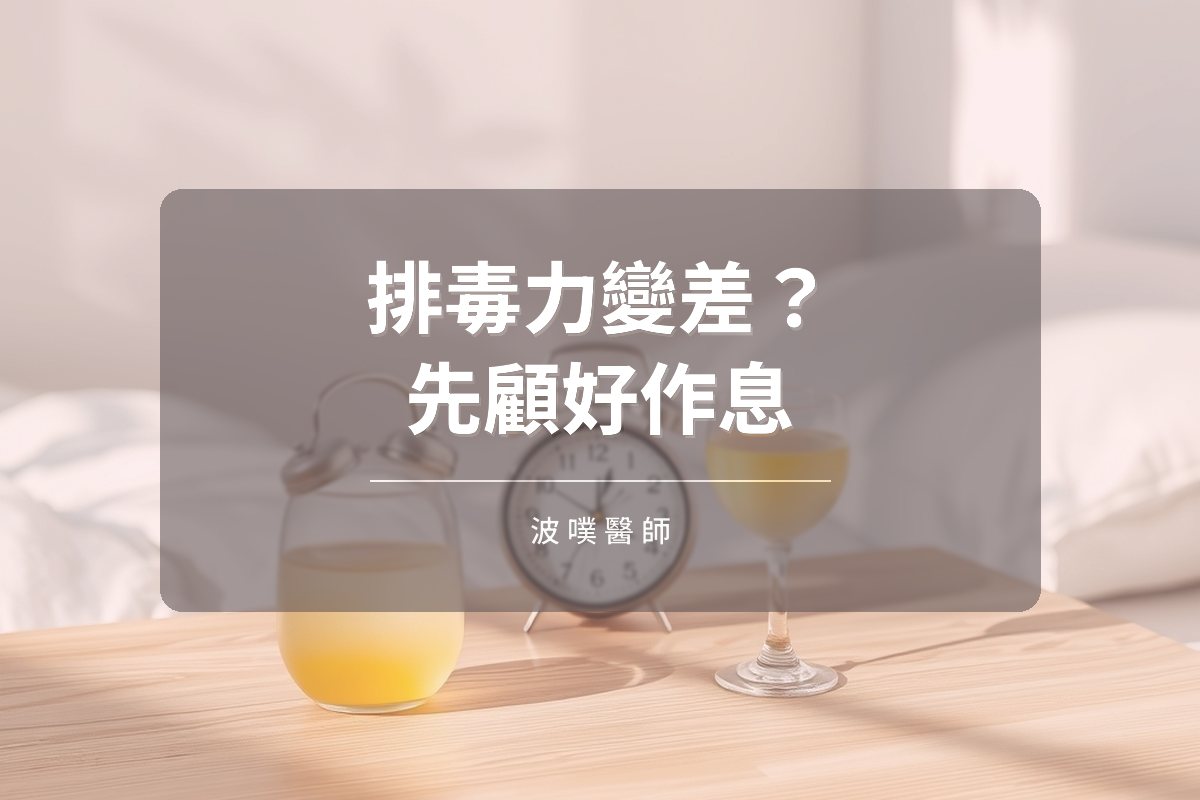 排毒力變差的原因:晝夜節律、壓力與肝臟健康(文章封面)
