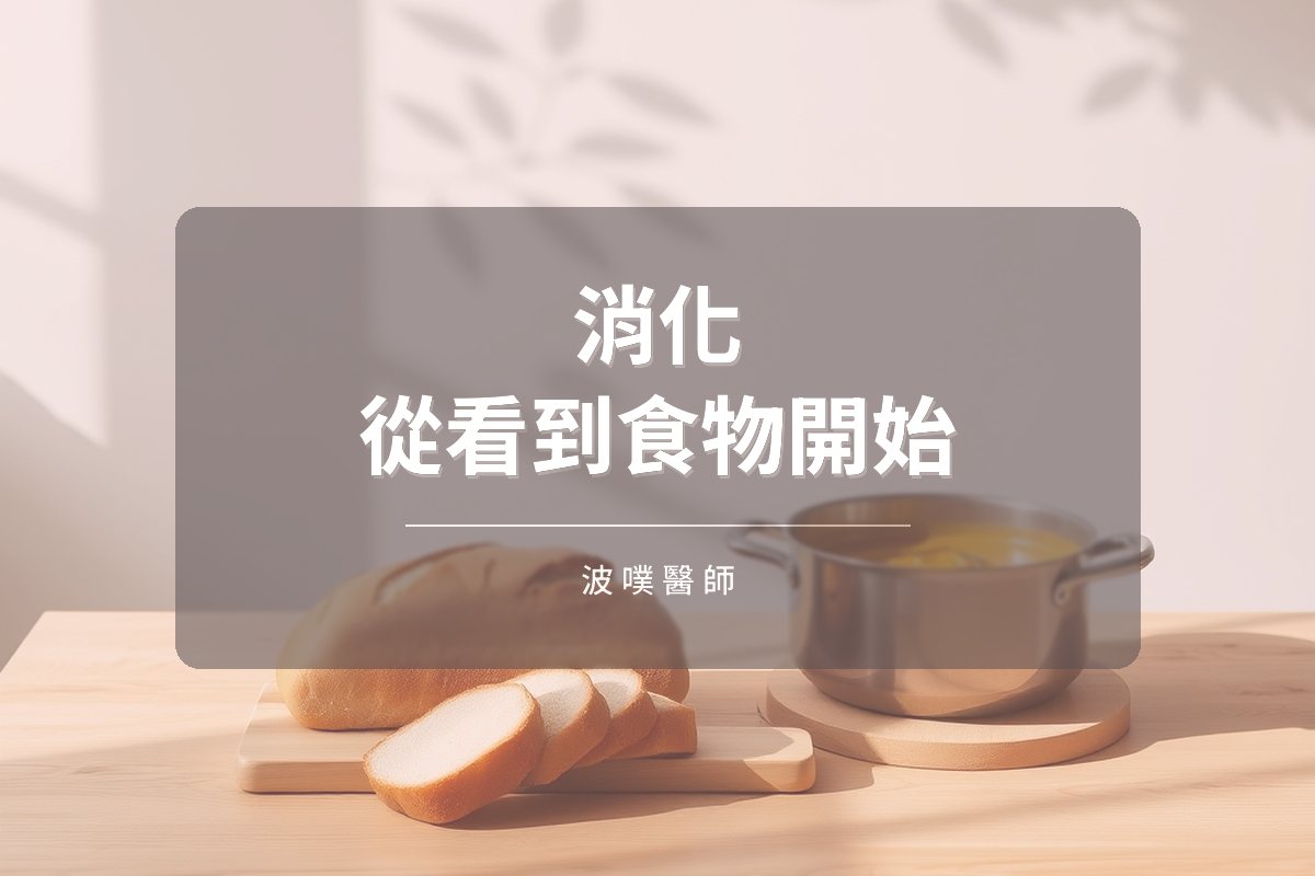 消化從看到食物就開始:頭期、胃期與腸期全解析(文章封面)
