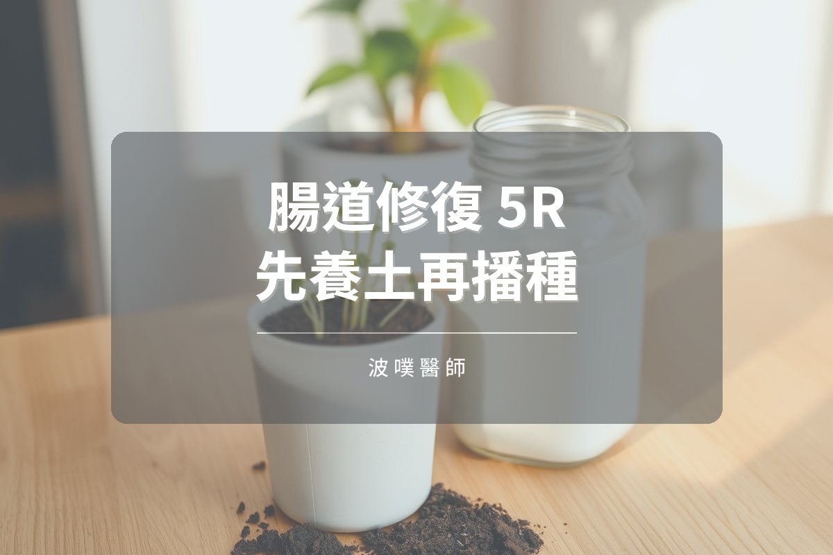 腸道修復 5R 法:為什麼要先養土再補益生菌(文章封面)