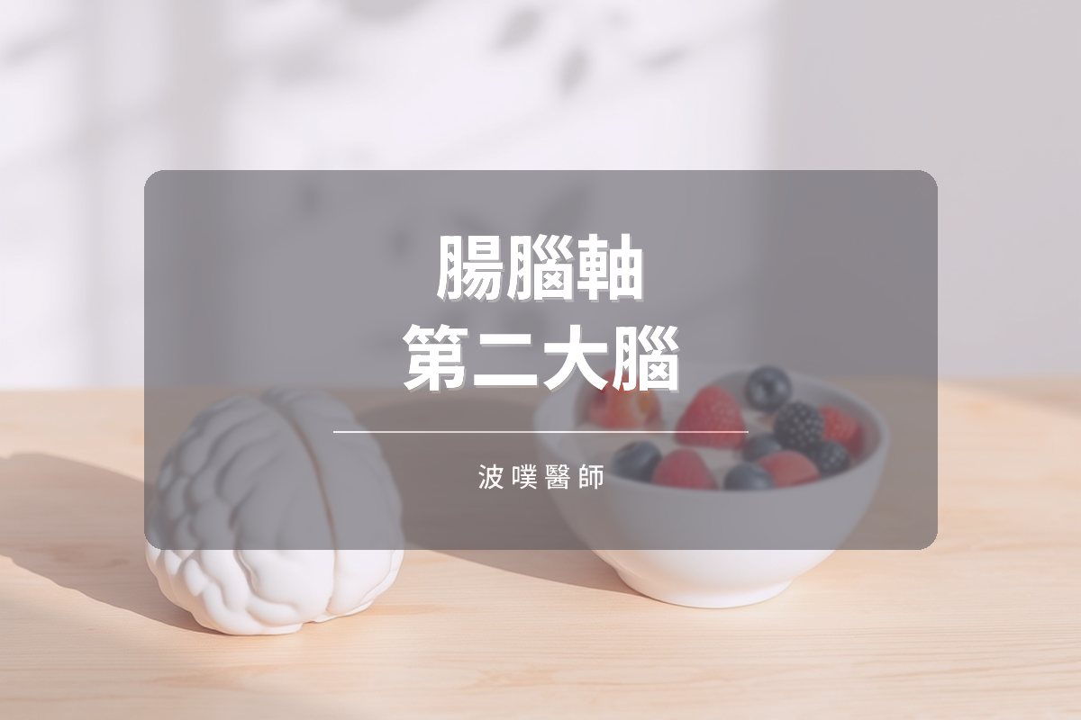 腸腦軸:第二大腦如何影響情緒、睡眠與代謝(文章封面)