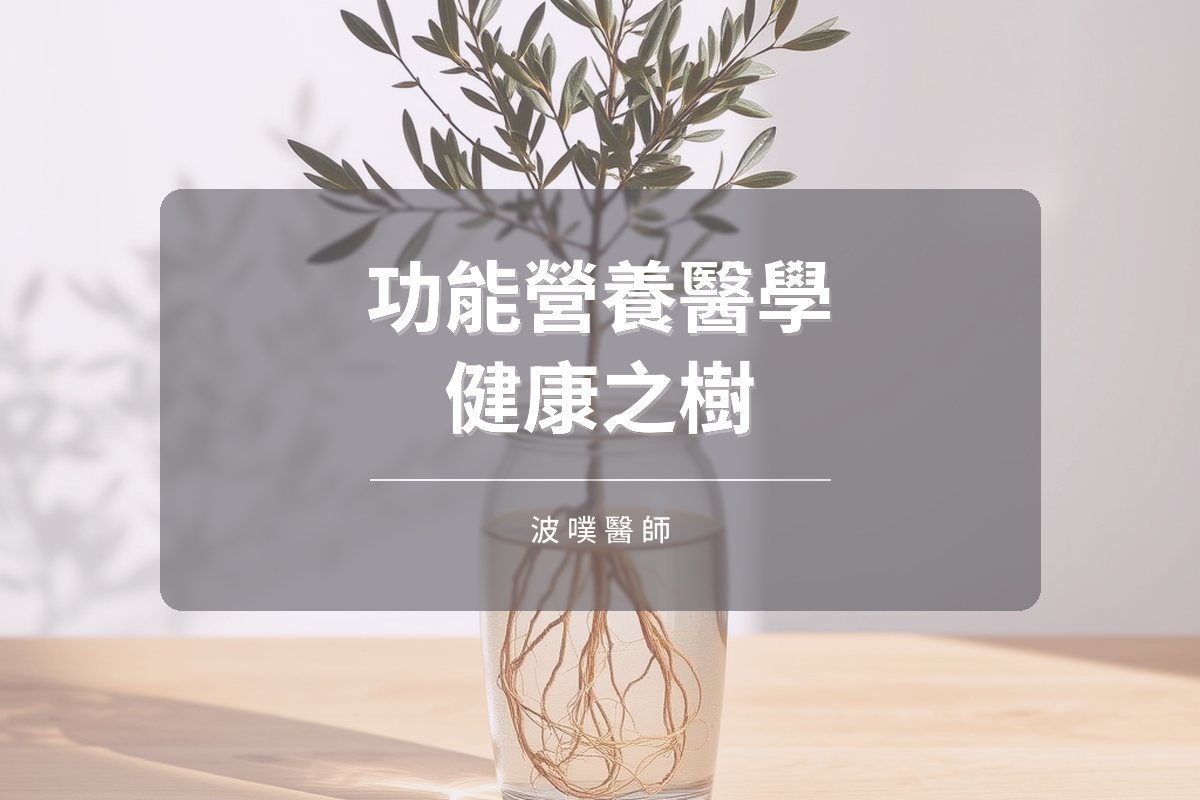 功能營養醫學健康之樹:從症狀一路追到根源(文章封面)