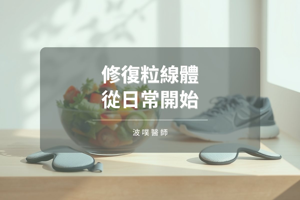 修復粒線體的日常處方:睡眠、腸道與彩虹飲食(文章封面)