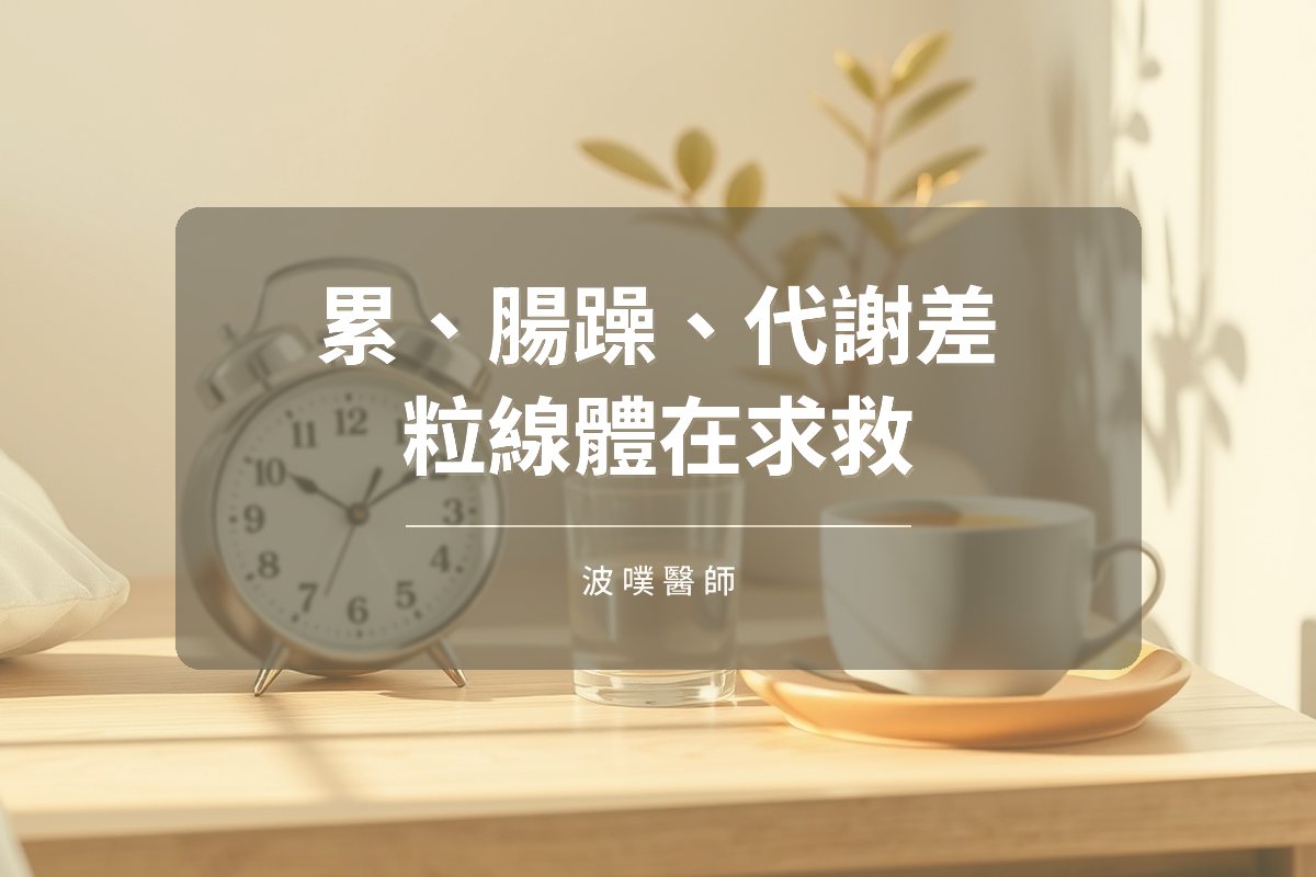 慢性疲勞、腸躁到代謝病:粒線體失衡的身體警訊(文章封面)