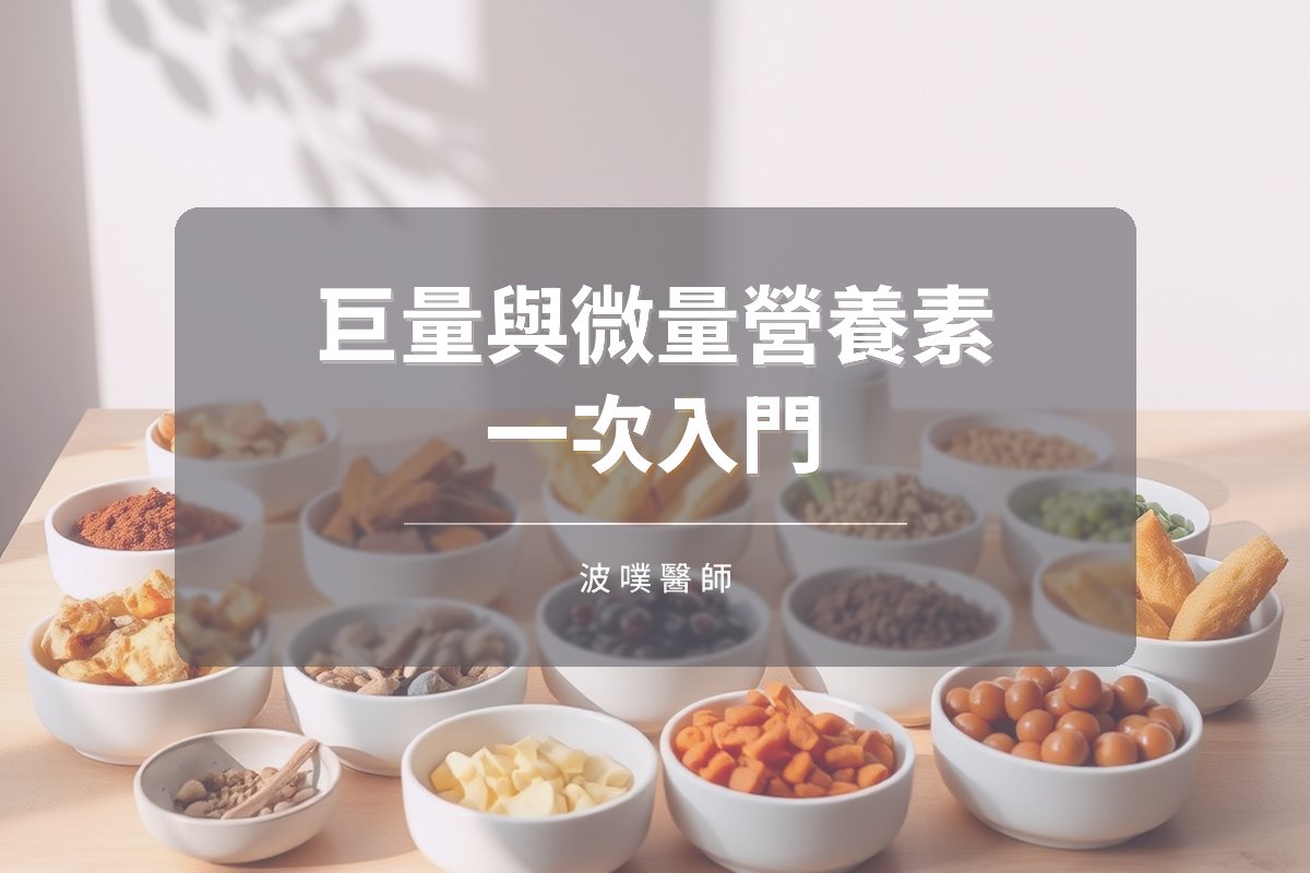 巨量與微量營養素差在哪?功能營養醫學營養入門(文章封面)